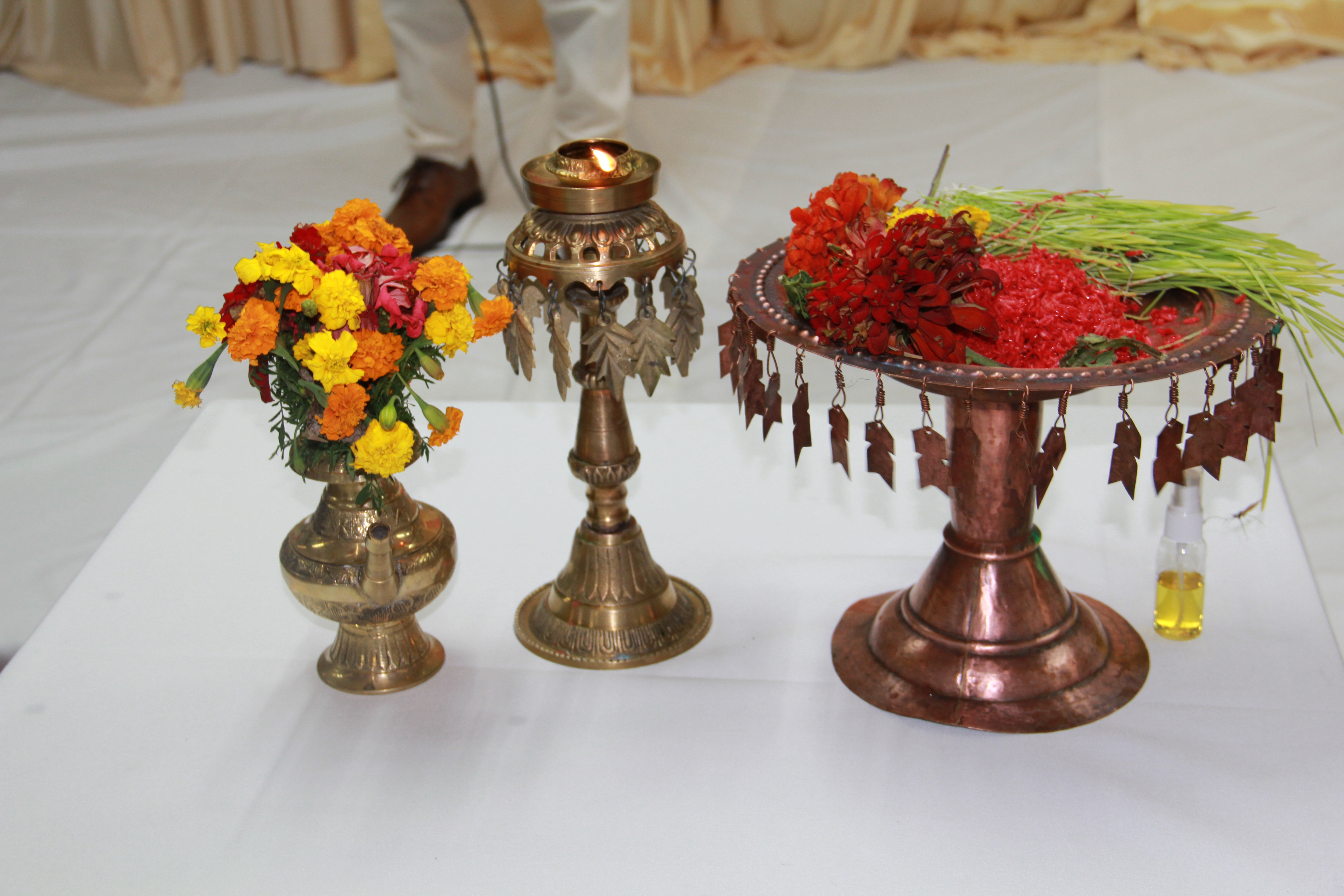 ANQ Celebrates Dashain 2082 with Joy and Cultural Spirit